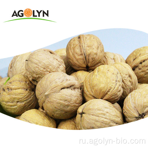 Бумажная скорлупа Agolyn свежие цельные органические грецкие орехи цены